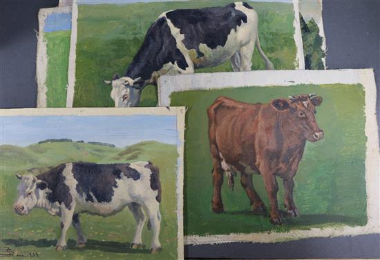 J.S, folio of oils on canvas, studies of cattle, monogrammed and dated c.1937, largest 27 x 33cm